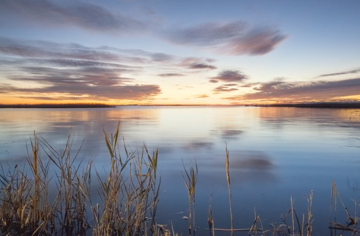 paysage petite camargue